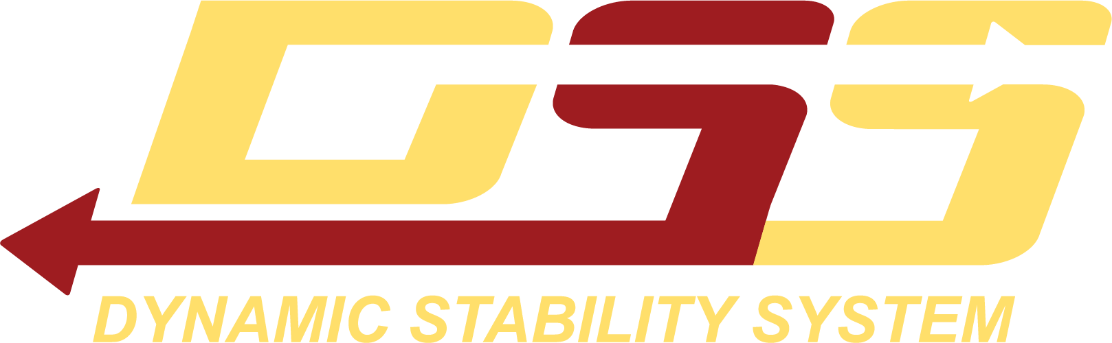 Logotipo de DSS